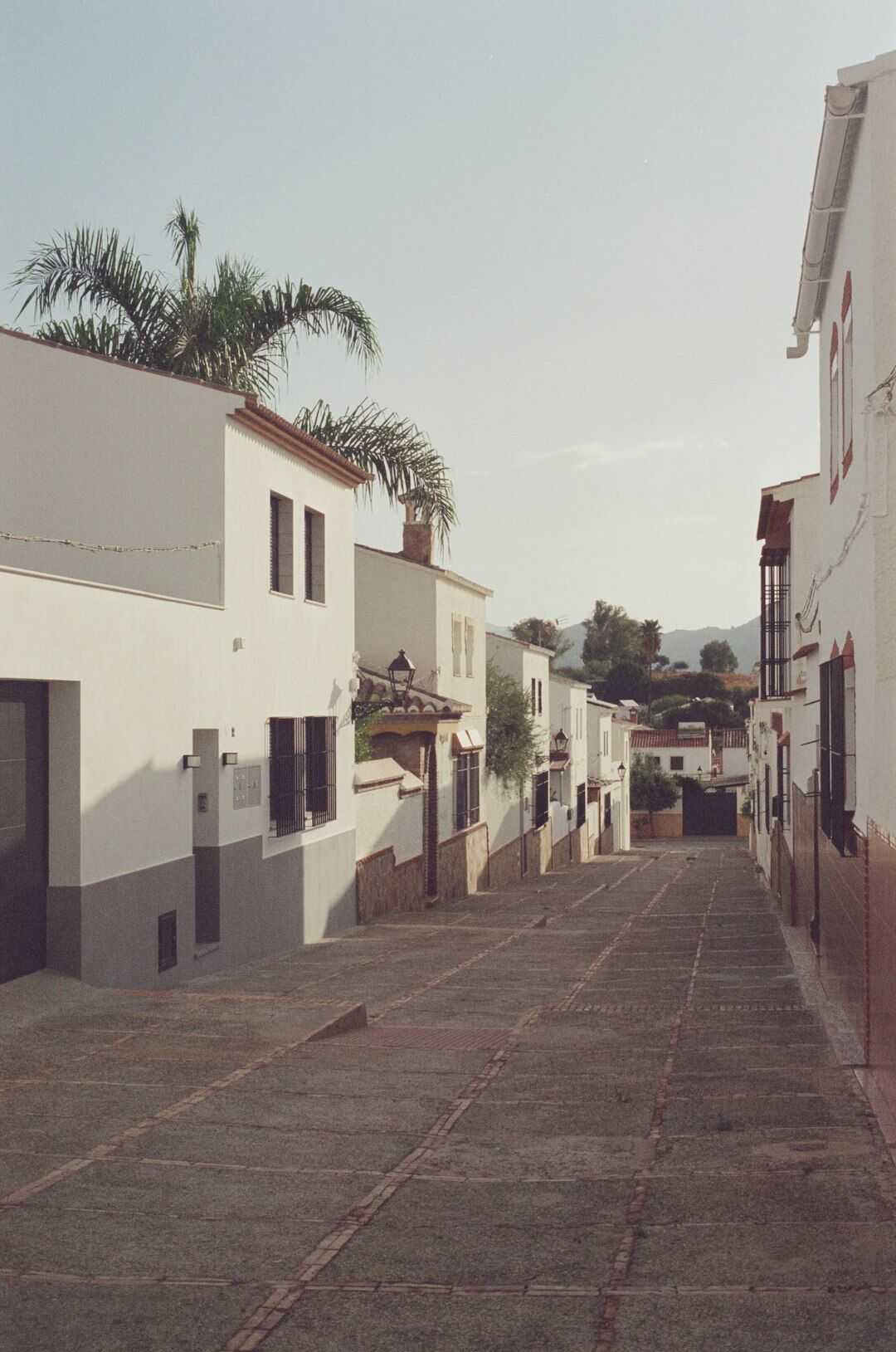 Sandy street with pine trees in José Ignacio village